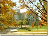 The School of Education